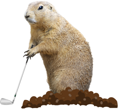 Gopher surveying the course